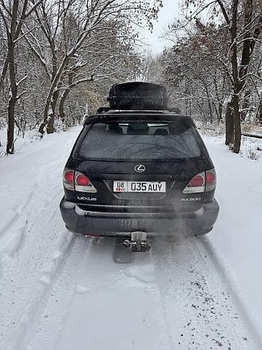 4wd: Lexus RX: 2001 г., 3 л, Автомат, Бензин, Кроссовер — 9