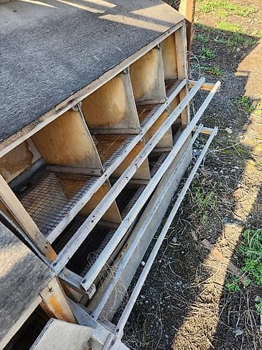 go find 66: Многоярусные деревянные клетки/гнездовые блоки для птицы (кур — 2