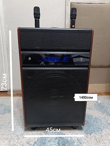 bt fm modulator: Аренда портативной колонки с радио микрофоном. Микрофоны самые лучшие — 6