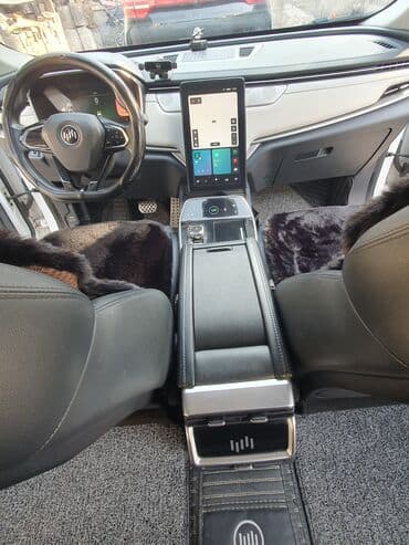 ош машине: Weltmeister EX5, 2020 г., 60000 км, Алдыңкы, Бар — 11