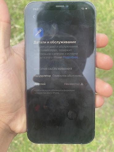 айфон 13 мини цена бишкек бу: IPhone 12 Pro, Колдонулган, 256 ГБ, Sierra Blue, Каптама, 78 % — 9