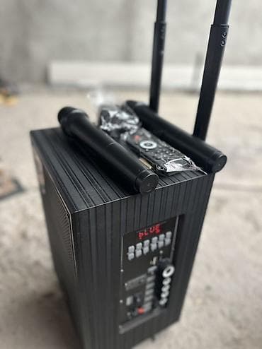 Портативная аккумуляторная акустическая система SSRJ SS-3101 Основные — 6