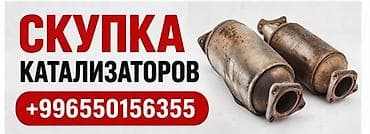 daf 95: Скупка автомобильных катализаторов. Принимаем катализаторы любых — 1