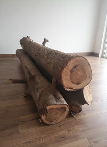 саженцы яблок: Бревна лиственных пород, цельные стволы орех Описание: - Несколько — 1