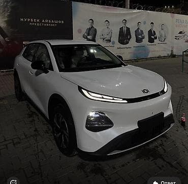 x max: Легковое авто, Пункт назначения: Иссык-Куль, Количество мест: 4, Лицензия №: O-MVD-000-2026-0013862 — 2