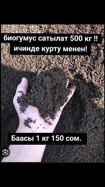 саат электронный: Биогумус (вермикомпост) с живыми дождевыми червями. - Объем: 500 кг — 1