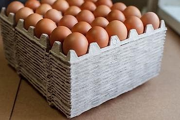 ДОМАШНИЕ ЯЙЦА | ОПТОМ РОЗНИЦА Продаю домашние яйца для питания на