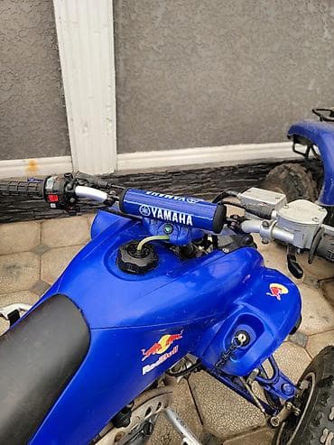 квадрацикл: Квадроцикл Yamaha, Бензин, 350 куб. см, Взрослый — 5