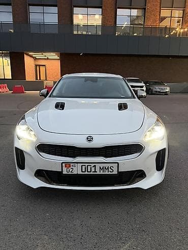 стекло для авто: Kia Stinger: 2020 г., 2.5 л, Автомат, Бензин, Лифтбек — 1