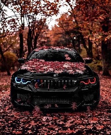 BMW Apple M5: 2021 г., Седан