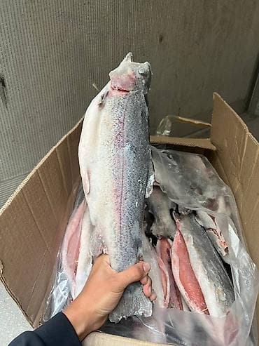 рыбное: Замороженная форель, потрошённая. Характеристики: - Вид: форель — 1