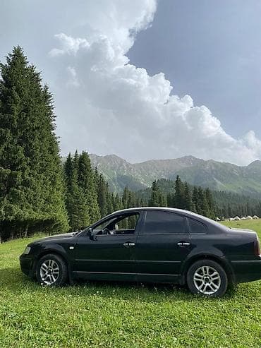 mini cupper: Volkswagen Passat: 1998 г., 1.9 л, Механика, Дизель, Седан — 4