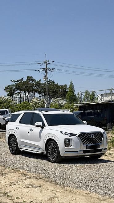 машина за 450 тысяч: Hyundai Palisade: 2020 г., 2.2 л, Автомат, Дизель — 2