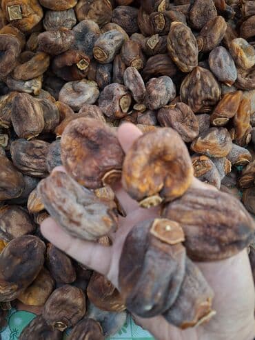 кукуруз продаю: Сушёная хурма (цельные плоды) - Натуральная сушка без сахара и без — 2