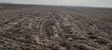 пекарь бишкек: 2400 соток, Айыл чарба үчүн — 5