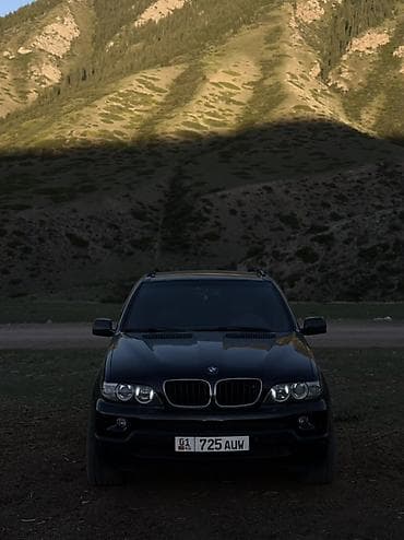 дверные карты бмв е34: BMW X5: 2005 г., 3 л, Автомат, Дизель, Кроссовер — 5