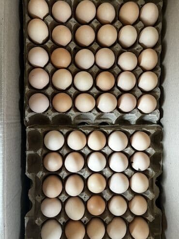 аргон сварка цена: Яйцо куриное оптом. - Классы и цены (с указанных на фото): - Экстра — 3