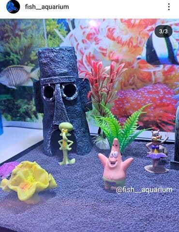 аквариум природа: Аквариум с дизайном в стиле "Губка Боб" Аквариум- ваш собственный — 2
