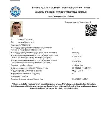 Оформление электронных виз (E-visa) в Кыргызскую Республику. Что lalafo.kg да Оформление электронных виз (E-visa) в Кыргызскую Республику. Что