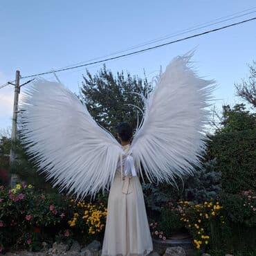 комнатные цветы купить бишкек: Карнавальные костюмы — 10