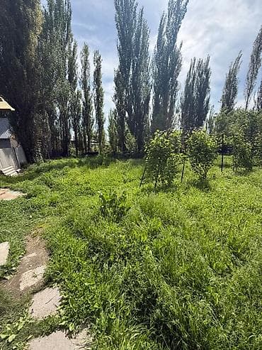 старий талчок: 10 соток, Для бизнеса, Договор купли-продажи, Красная книга — 2
