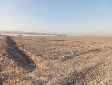 дома на обмен: 225 соток, Для бизнеса, Договор купли-продажи — 13