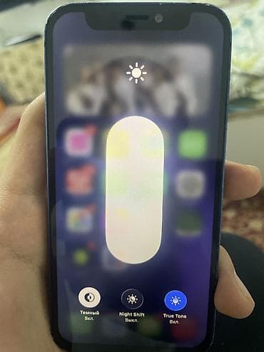 galaxy s20 plus: IPhone 12 mini, Б/у, 64 ГБ, Синий, Чехол, 72 % — 9