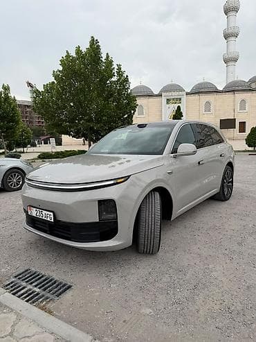 электро лампы: Lixiang L6: 2025 г., Гибрид, Внедорожник — 7