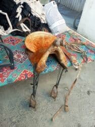 Рыбы: Срочно — 10