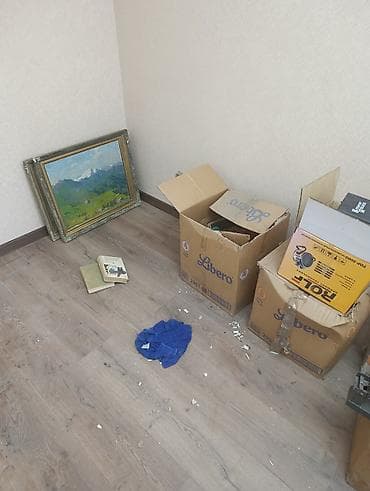 большой коврик для мыши: Уборка помещений, | Генеральная уборка, | Квартиры — 10