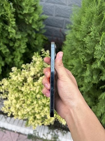 redmi note 13: IPhone 13 Pro Max, Б/у, 256 ГБ, Зеленый — 3