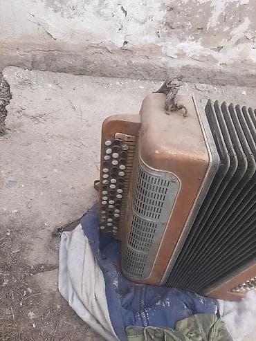 Аңчылык жана балык уулоо: Баян (кнопочный аккордеон), старого образца. Характеристики по фото — 8