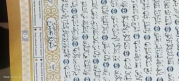 породистые котята бесплатно: Катёнку кому нужна . Обратите по ном — 4