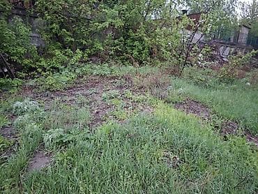 Земельные участки: 4 соток, Для строительства, Красная книга — 2