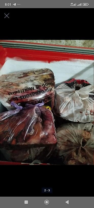 Другие животные: Мясо с бойни отходы селезёнка горло матки цена кг от 50 кг — 2