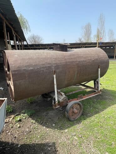 животные домашние: Продаю | Баран (самец) | Гиссарская, Эдильбаевская, Арашан | На забой, Для разведения, Для шерсти — 4