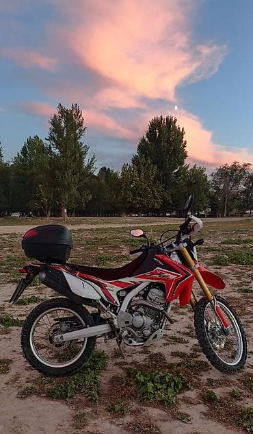 ninja h2: Эндуро Honda, 250 куб. см, Бензин, Взрослый — 5