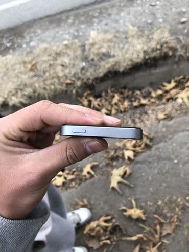 аудио системы: IPhone 5s, Б/у, 16 ГБ, Space Gray, Чехол — 4