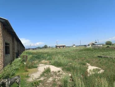 дом в районе кызыл аскер: Продаю Кошара, 600 соток, Действующий, С оборудованием, Электричество, Скважина — 15