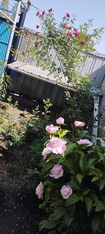 красногорск 3: Срочно Продаю дом барачного типа с мебелью . Кирпичный завод. район — 4