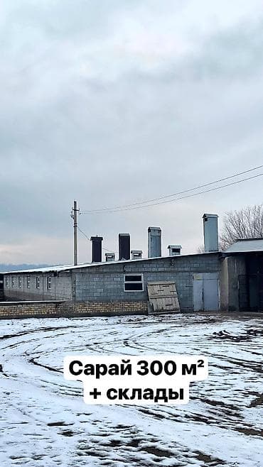 бокс сдаю: Ферма КРС, 1000 соток, Действующий, С оборудованием, Электричество, Отопление, Скважина — 5