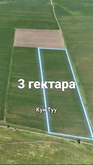 дом село ленински: 300 соток, Для сельского хозяйства — 1