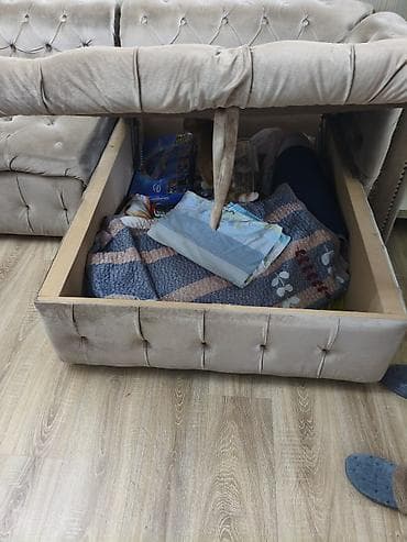 Дом и сад: Угловой диван, Раскладной — 10