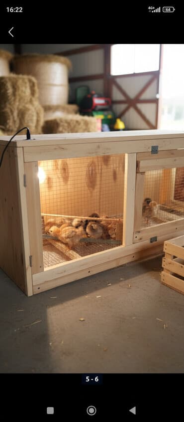 прогулочный шар для сирийского хомяка купить: Клетка для животных с деревянным каркасом и металлической сеткой — 1