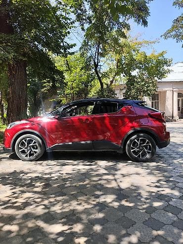 prius plus: Toyota C-HR: 2019 г., 2 л, Автомат, Бензин, Кроссовер — 1