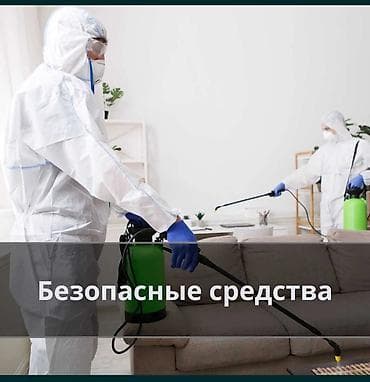 подъезд: Профессиональная дезинсекция помещений - Уничтожение домашних — 3