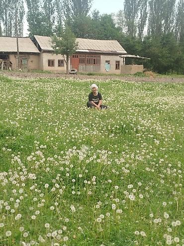 барабан детский: Луг с одуванчиками для фотосессий и отдыха - Просторный зеленый — 2