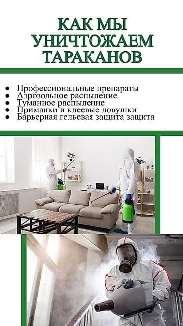 подъезды: Дезинфекция, дезинсекция, | Клопы, Блохи, Тараканы, | Транспорт, Офисы, Квартиры — 6