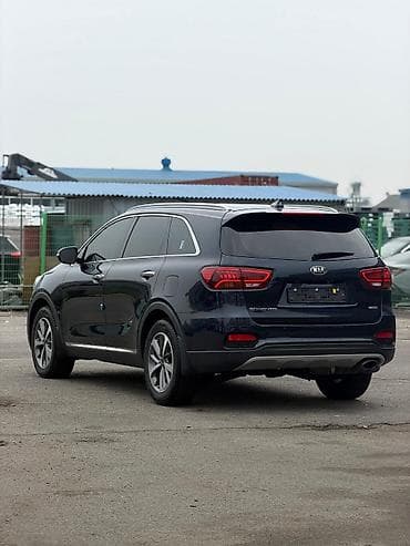 Kia Sorento: 2019 г., 2 л, Автомат, Бензин, Кроссовер — 8