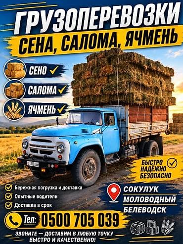 Кызматтар: 🚛 ГРУЗОПЕРЕВОЗКИ 🚛 Перевозка: 🌾 Зерна 🌿 Сена 🌾 Соломы 🚜 Кормов и — 1